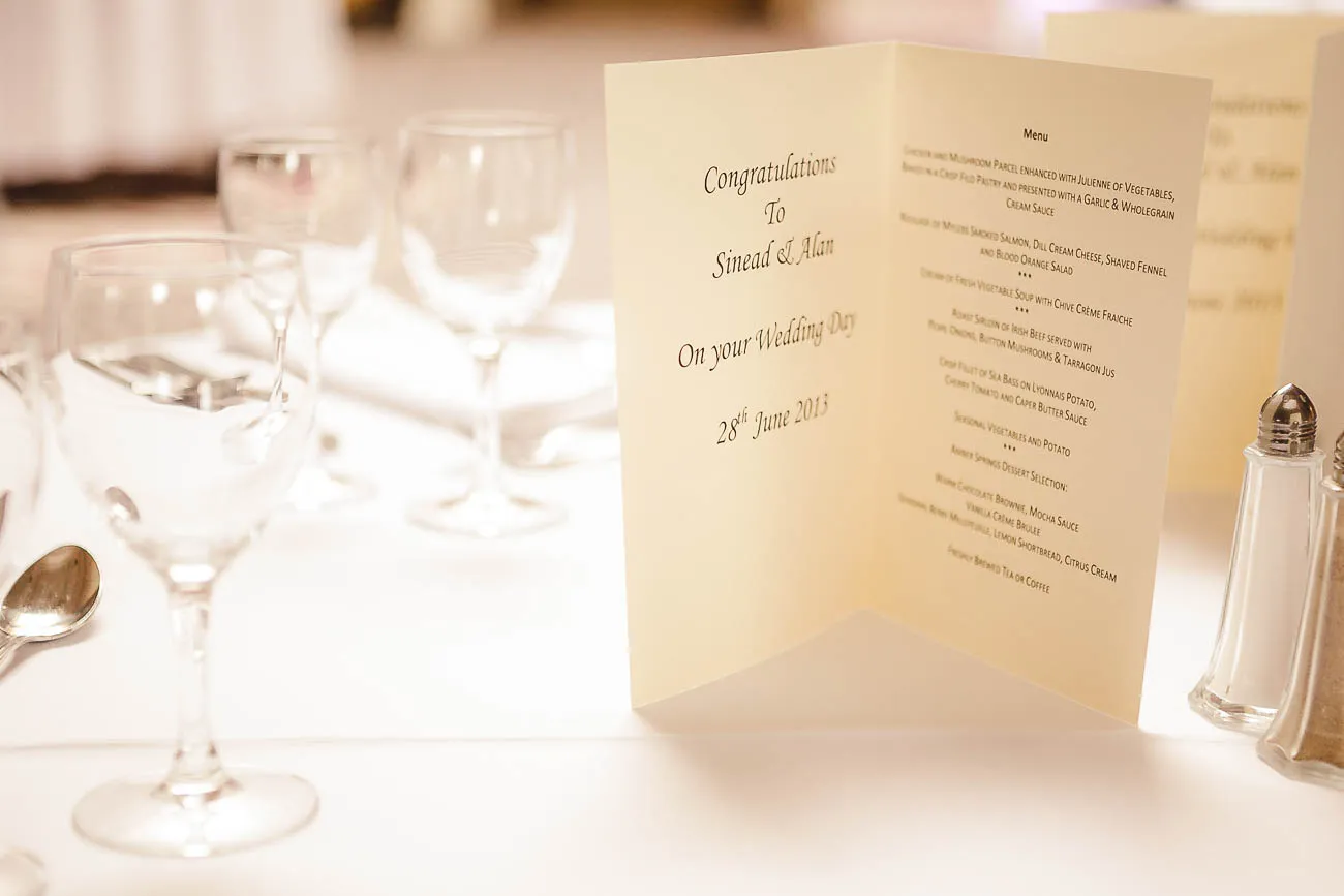 Amber Springs Hotel Wedding | Wexford | Holst Photography Ireland