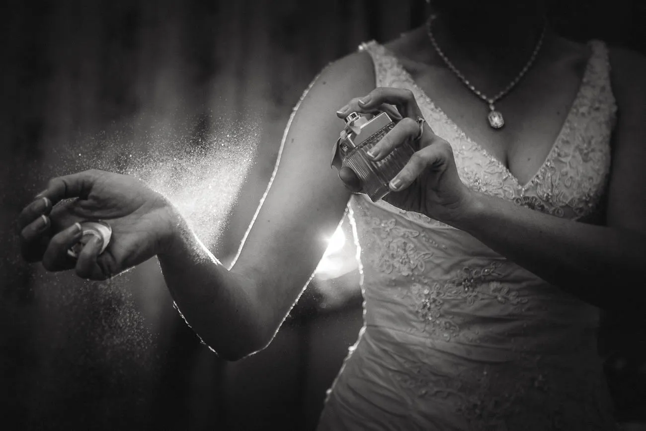 Civil Wedding Tinakilly House | Wicklow | Holst Photography Ireland