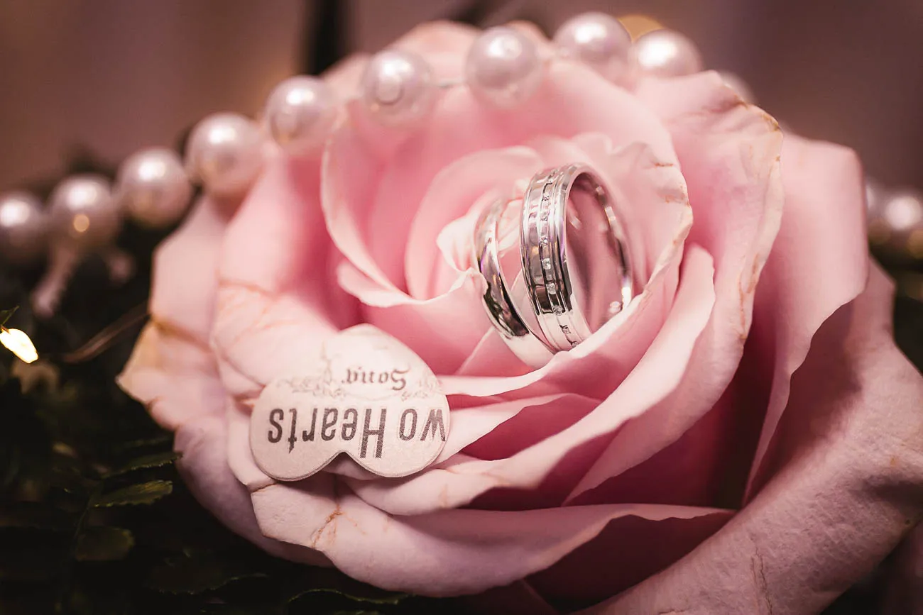 Gay Wedding Castleknock Hotel  Dublin | Holst Photography Ireland