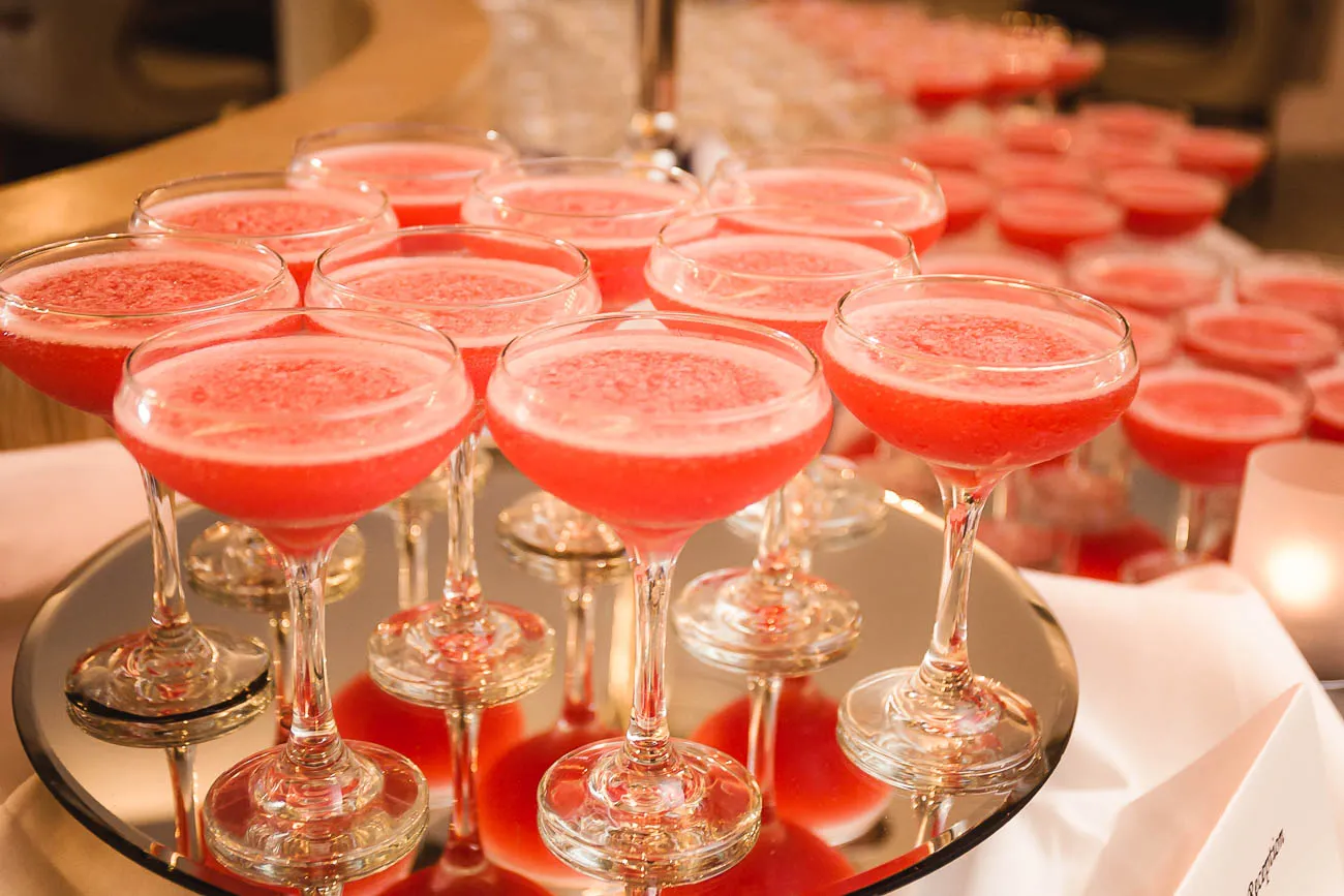 Gay Wedding Castleknock Hotel  Dublin | Holst Photography Ireland