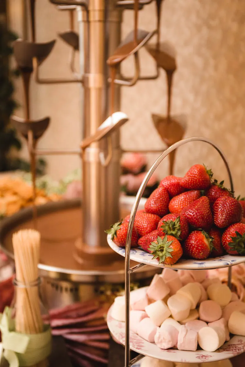 Gay Wedding Castleknock Hotel  Dublin | Holst Photography Ireland